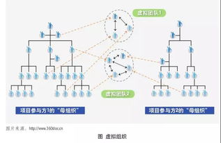 智慧牧業，云領未來 江西柯恩牧業集團企業網絡技術服務全面升級